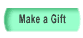 This tab takes you to the MAKE A GIFT page.